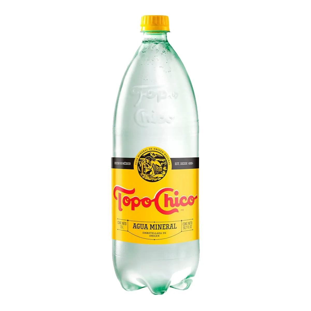 Agua Mineral TopoChico 2L